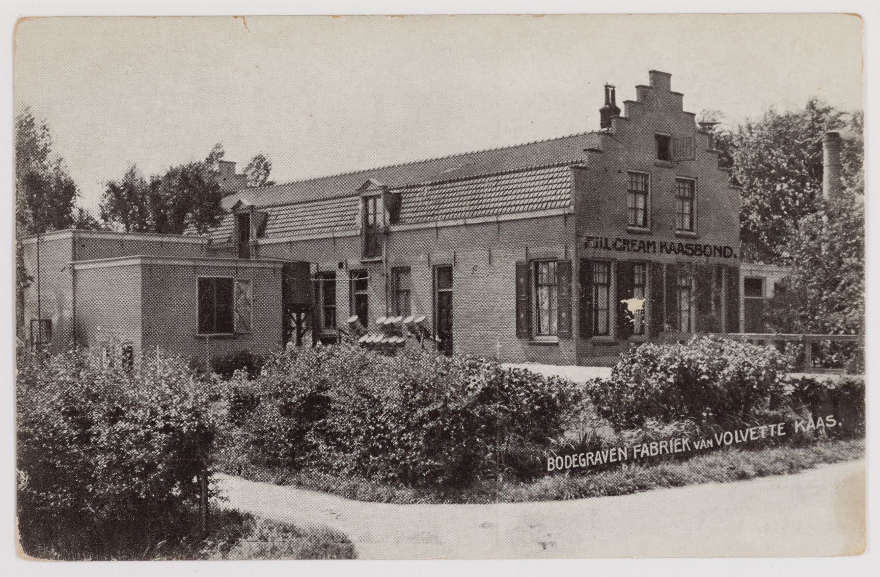 Bedrijfsprentbriefkaart van de kaasfabriek, 1913.